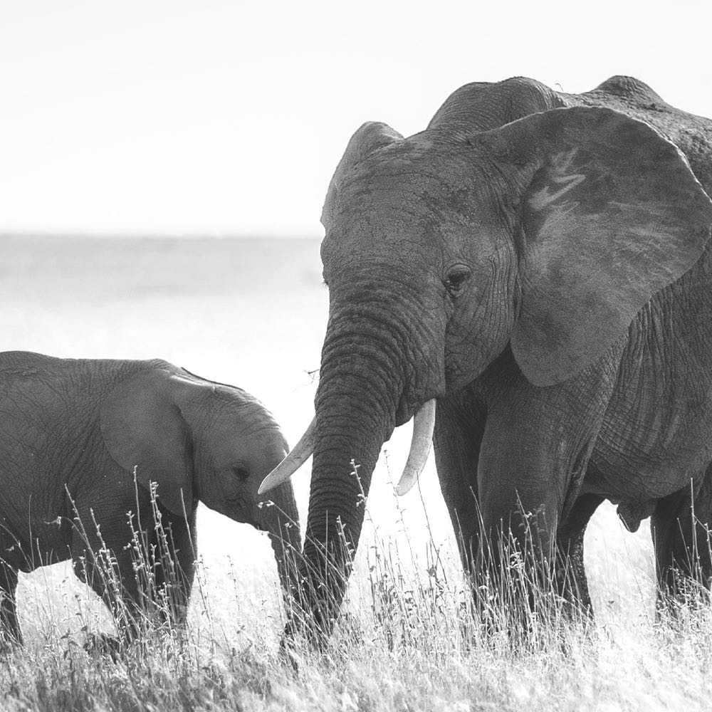 INIKA Organic | Highest Certified Beauty Worldwide